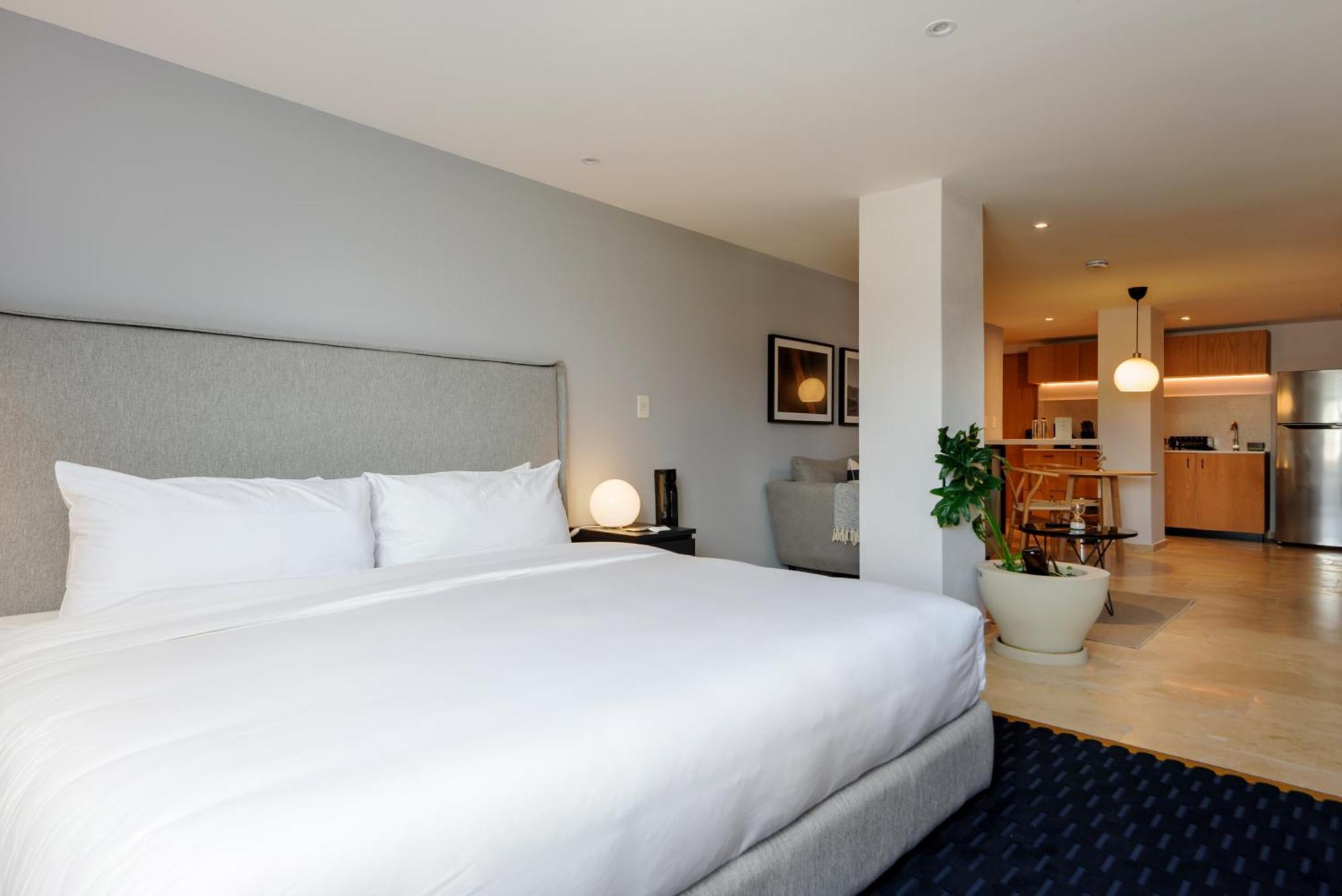 Roma 168 By Wynwood House Aparthotel Mexico City Ngoại thất bức ảnh